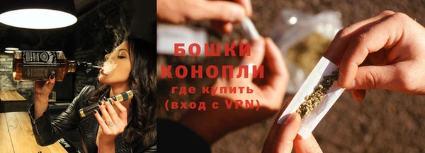 прущие грибы Краснослободск