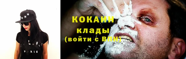 прущие грибы Краснослободск