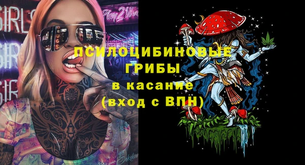 прущие грибы Краснослободск