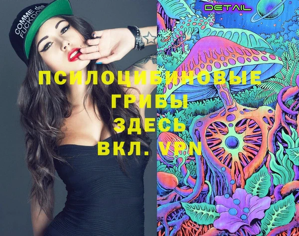 молекула духа Красноперекопск