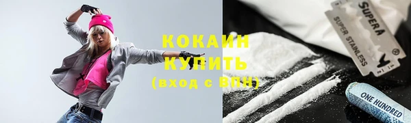 прущие грибы Краснослободск