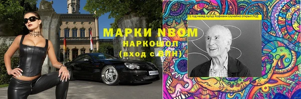 прущие грибы Краснослободск