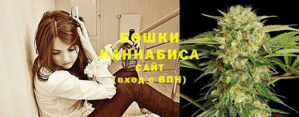прущие грибы Краснослободск
