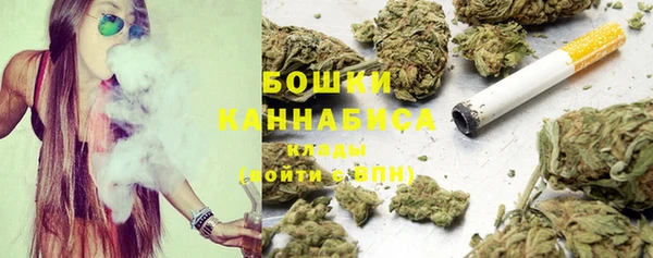 прущие грибы Краснослободск