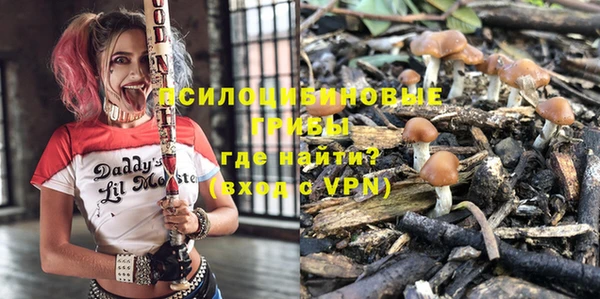 молекула духа Красноперекопск