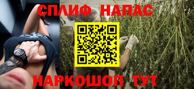 спиды Аргун